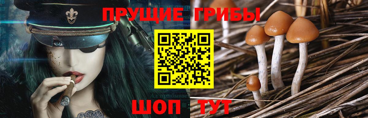 Псилоцибиновые грибы ЛСД Кемерово