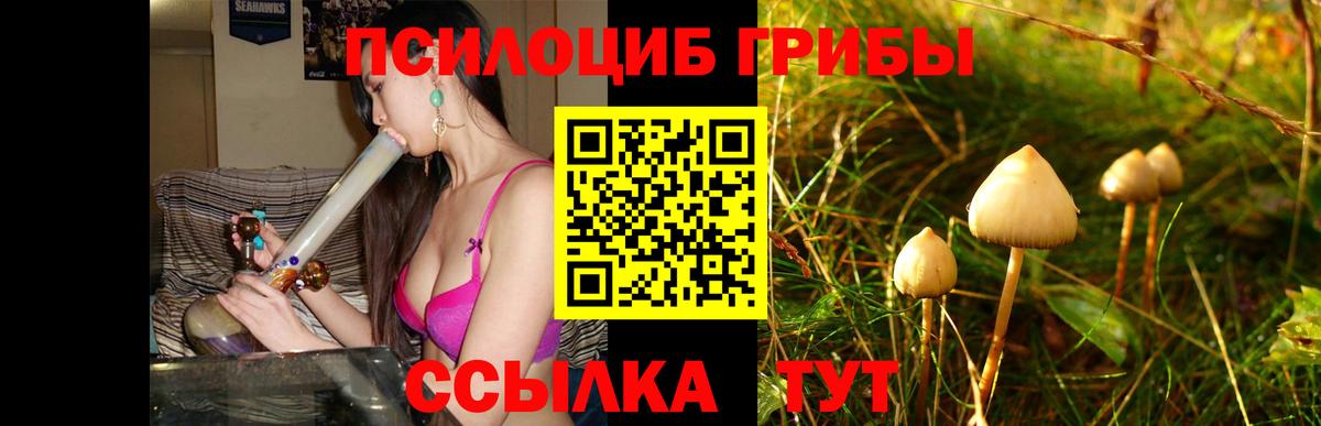 Кемерово  Псилоцибиновые грибы MAGIC MUSHROOMS  Галлюциногенные грибы Psilocybe  продажа наркотиков  Вход с VPN 